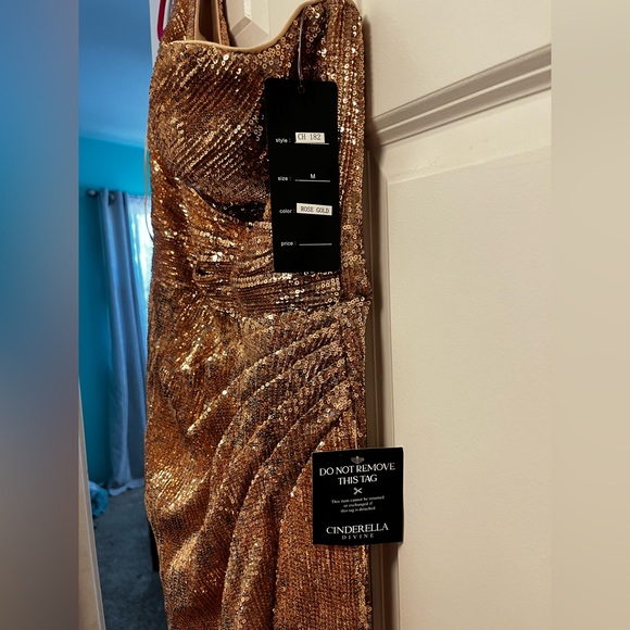 Cinderella Formal Rosegold Sequence Dress - Picture 4 of 4